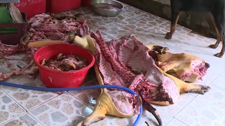 Triệt phá đường dây đưa lợn bệnh vào thị trường